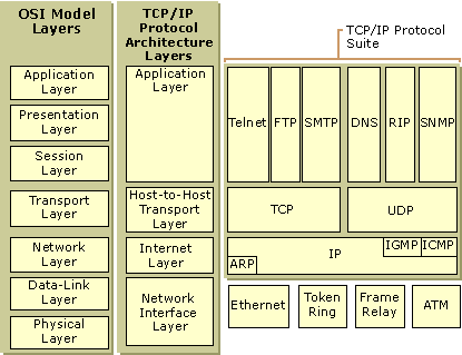 TCP/IP